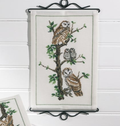Owl family
